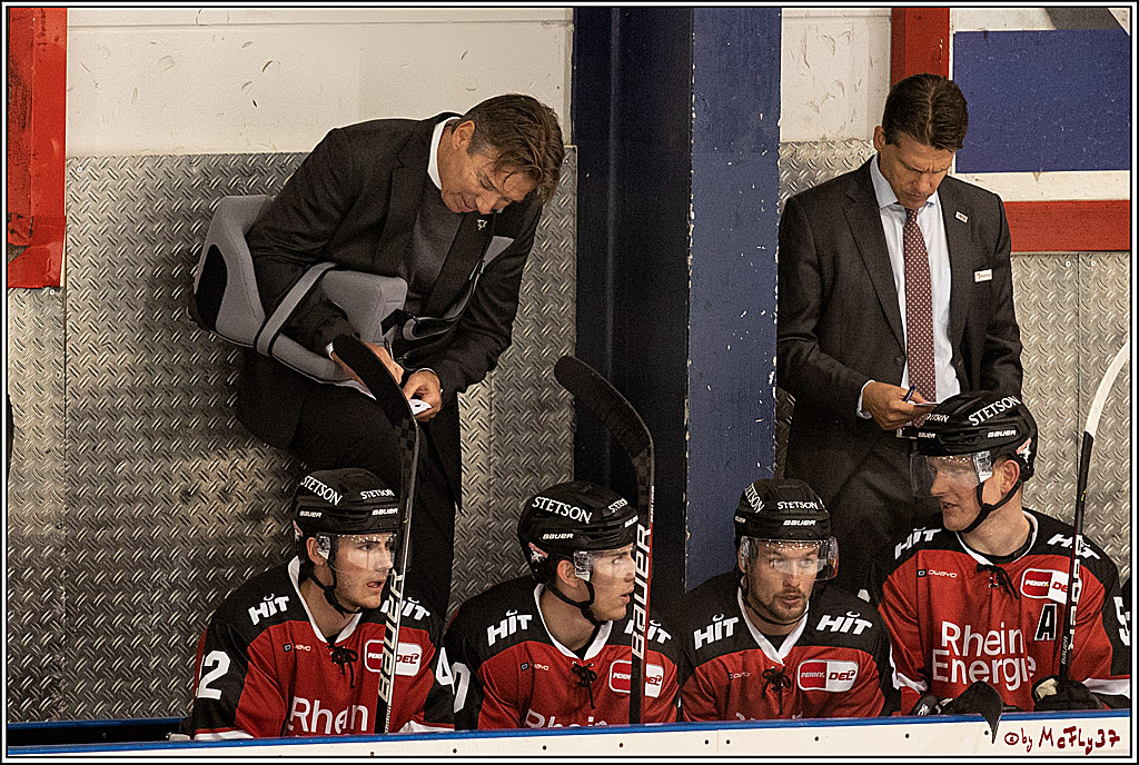 PENNY DEL;  Koelner Haie - Adler Mannheim; Koeln, 19.08.2021
